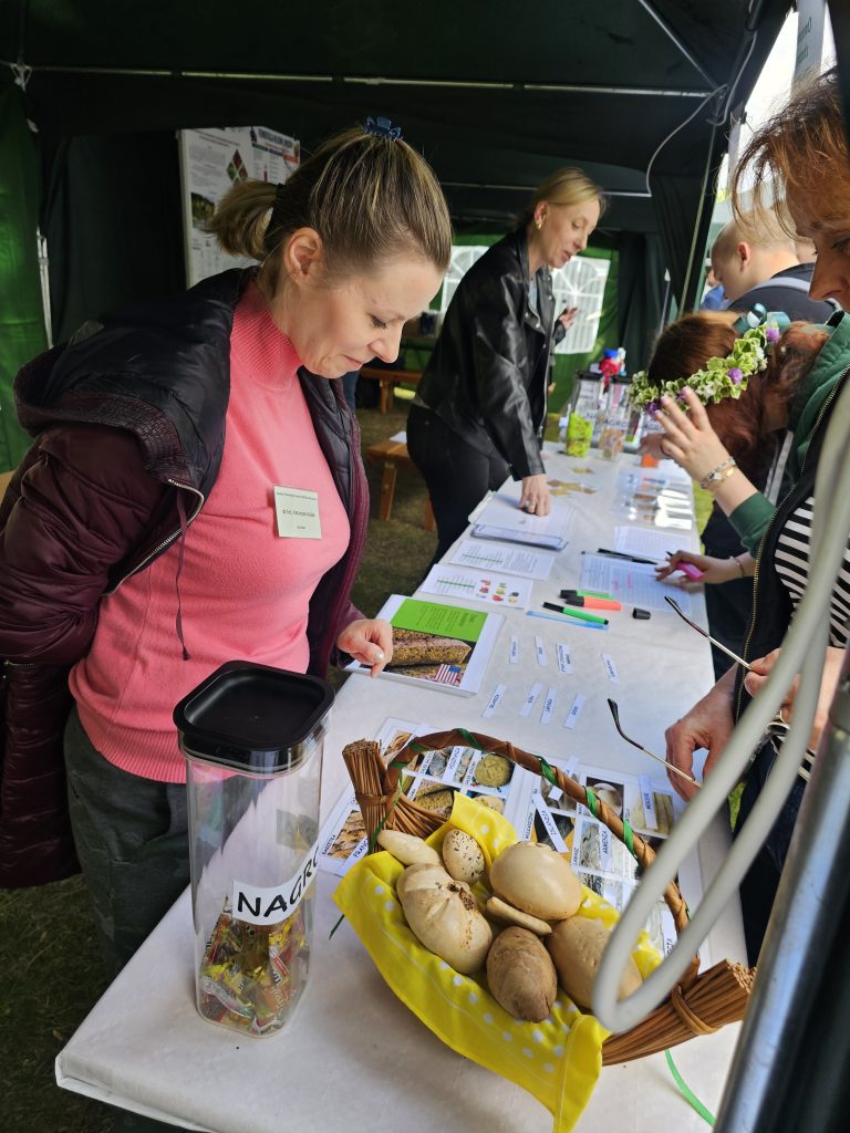 Stoisko edukacyjno-promocyjne zorganizowane pod zielonym namiotem, Na białym stole wystawiono materiały edukacyjne i próbki. Na pierwszym planie po prawej stronie stoi wiklinowy koszyk wyścielony żółtą serwetą w kropki, w którym znajdują się różne rodzaje pieczywa, a obok niego leżą plansze ze zdjęciami wypieków. Po lewej stronie widoczny jest wysoki, przezroczysty pojemnik z napisem „NAGRODY”, wypełniony drobnymi upominkami i słodyczami. Przy stole stoją kobiety zaangażowane w prezentację. Jedna z nich, w różowym golfie i ciemnej kurtce, pochyla się nad materiałami i wskazuje palcem na grafikę przedstawiającą chleb (obok widoczna jest mała flaga USA). Dalej, w głębi stoiska, kolejna kobieta w czarnej skórzanej kurtce rozmawia z odwiedzającymi. Po prawej stronie widoczni są uczestnicy wydarzenia, w tym dziewczyna w wianku z kwiatów.