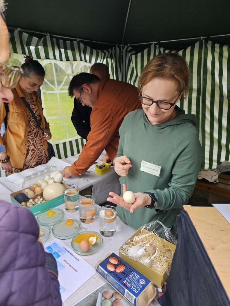 Kobieta w okularach i zielonej bluzie z uśmiechem prezentuje jajko trzymane w dłoni, stojąc za stołem pod pasiastym namiotem. Na blacie przygotowano stanowisko edukacyjne z różnymi rodzajami jaj, zlewkami z wodą do testowania ich świeżości oraz wytłaczankami. W tle widoczni są inni uczestnicy wydarzenia, którzy z zaciekawieniem przeglądają materiały i rozmawiają przy stoisku.